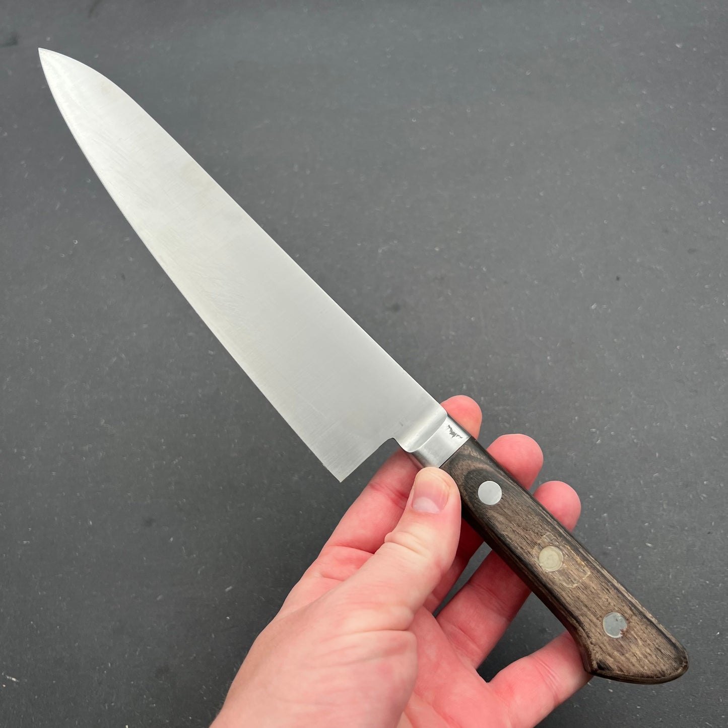 Gyuto 220mm rustfri