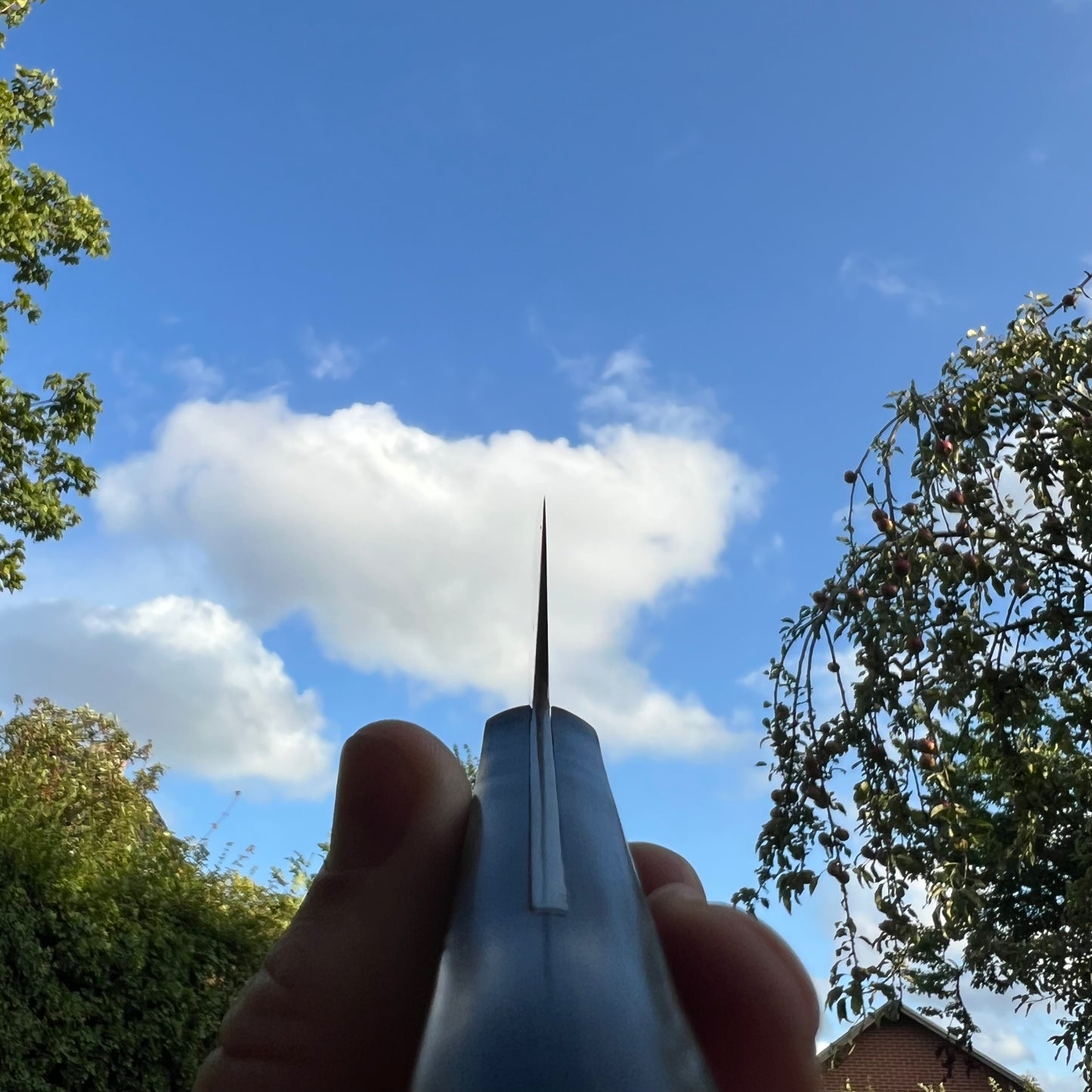 Minamoto no Sukehisa Gyuto 200mm Swedish carbonsteel