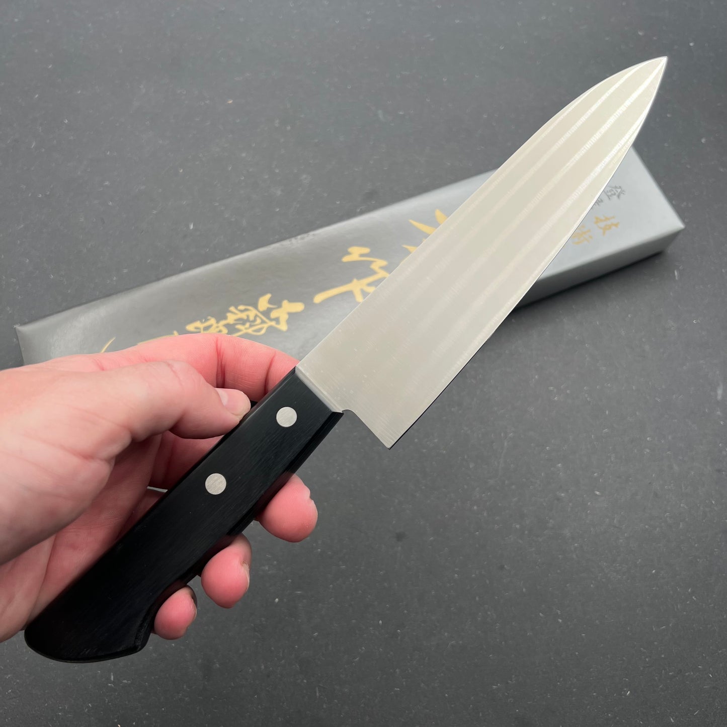 Tetsuhide Gyuto 180mm rustfri