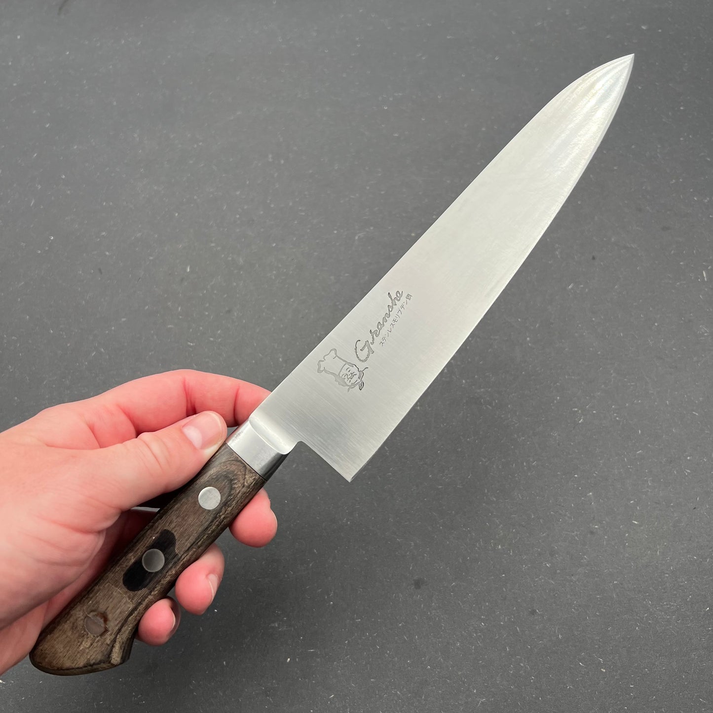 Gyuto 220mm rustfri