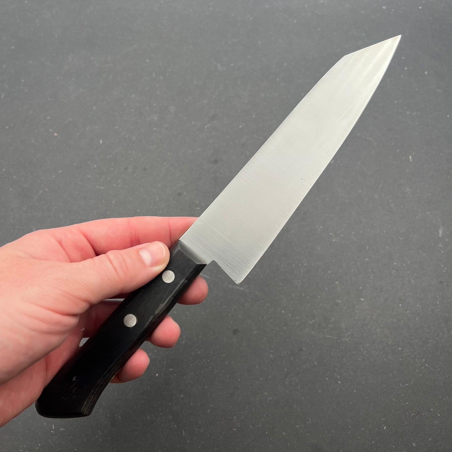 Kikunomori Bunka 180mm rustfri