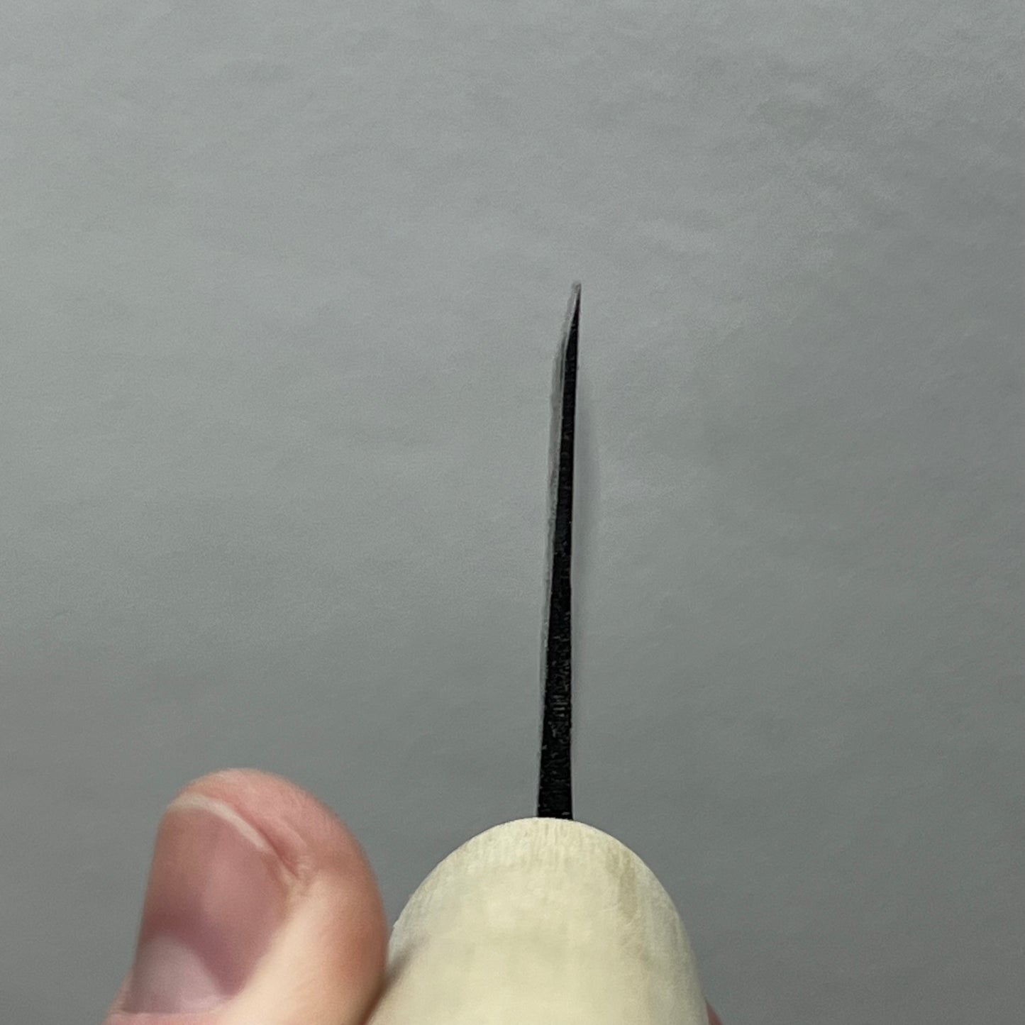 Santo Gyuto 200mm Carbon