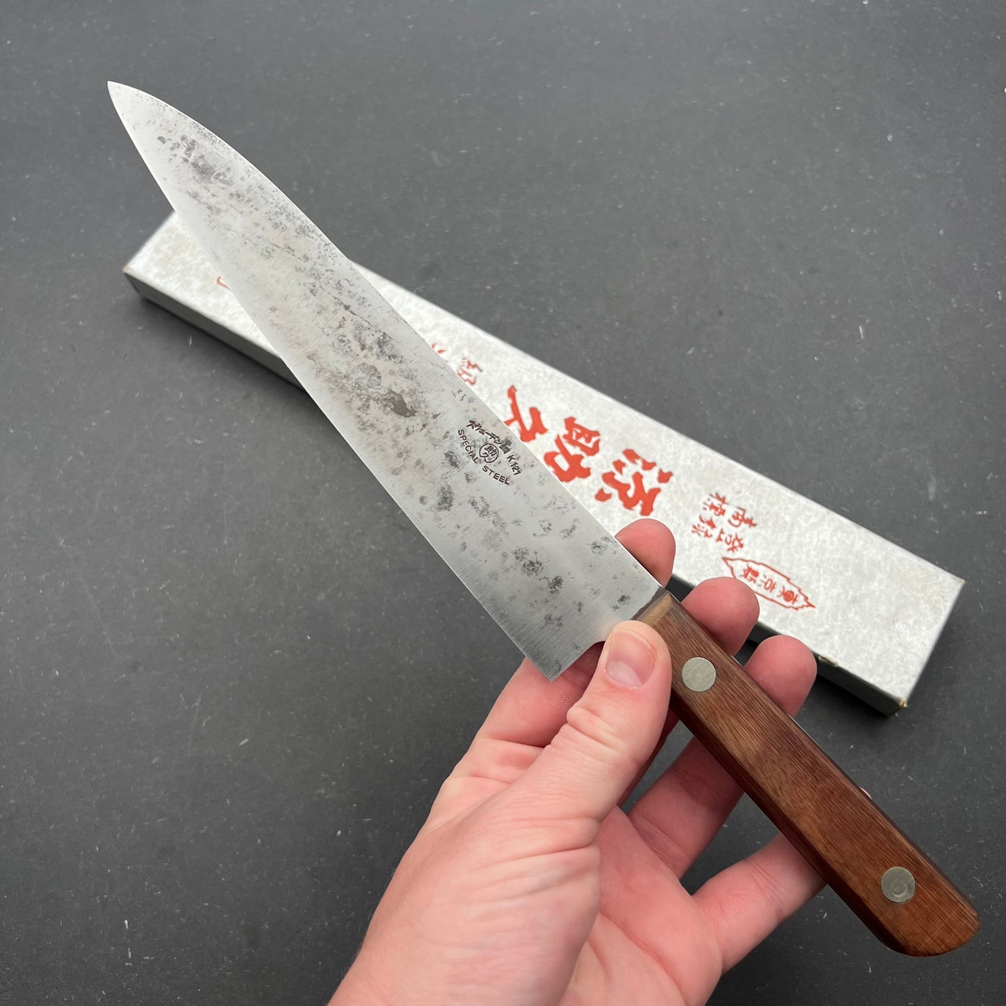 Minamoto Gyuto 210mm carbon