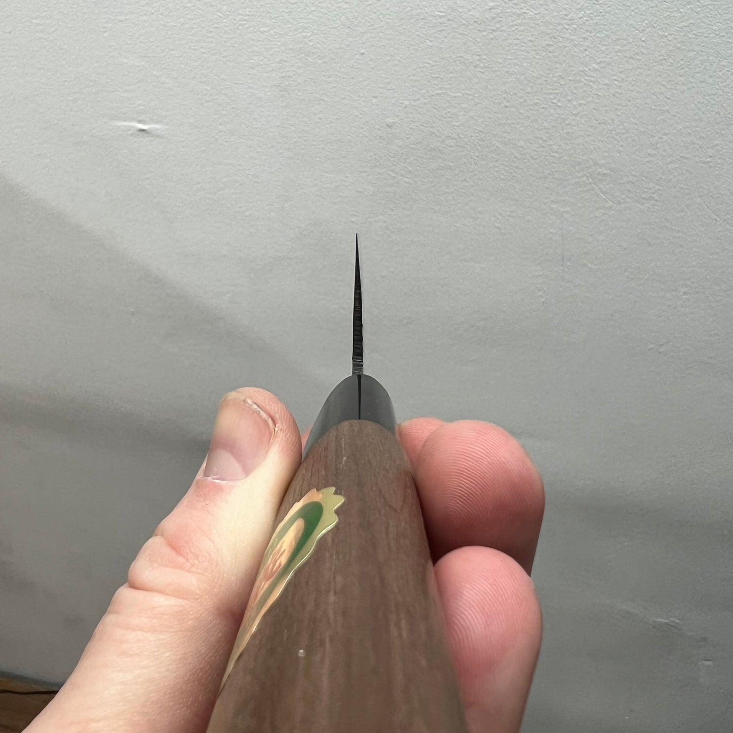 Tosa Funayuki Kurouchi Blue steel 1