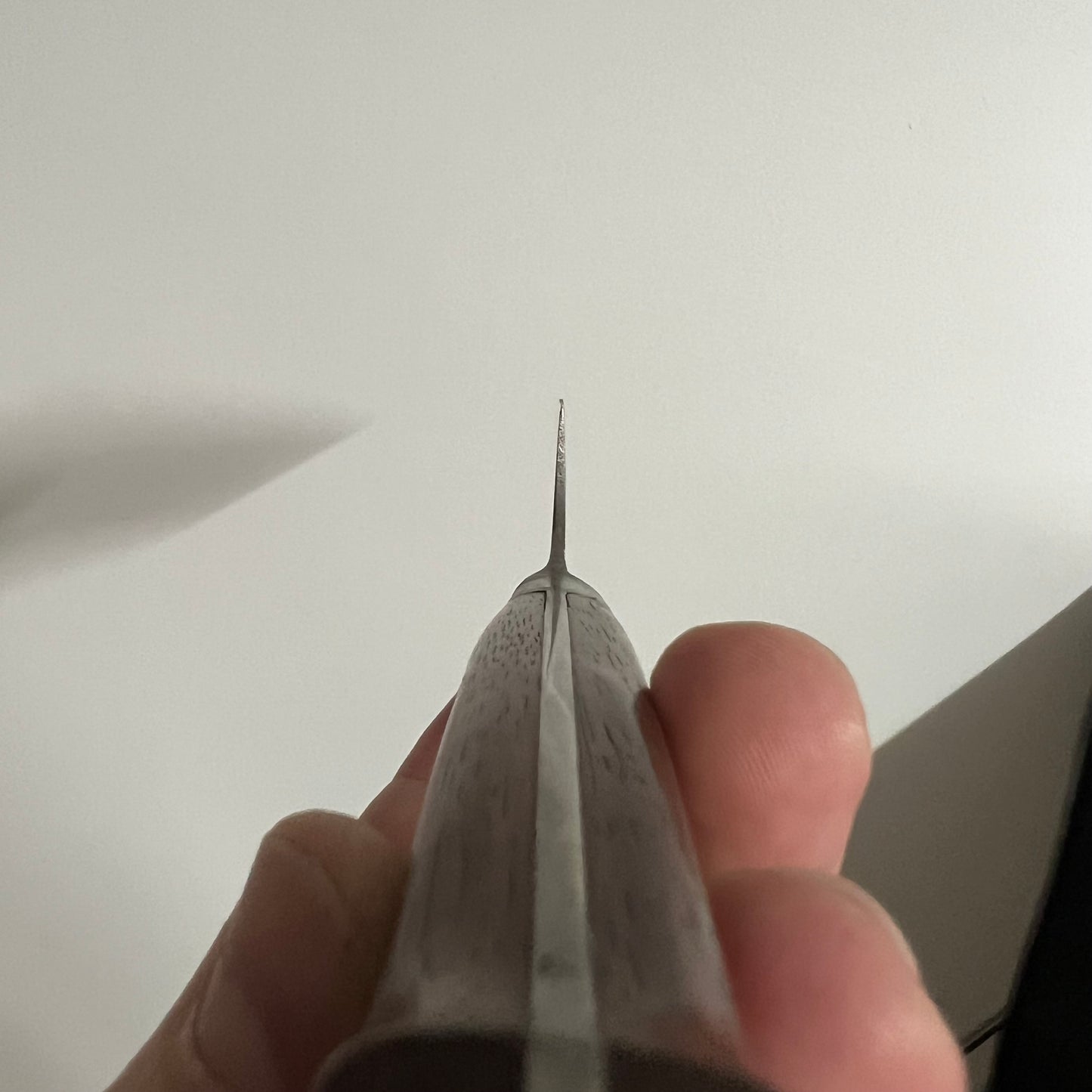 Minamoto no Kiyataki Sujihiki 270mm carbon