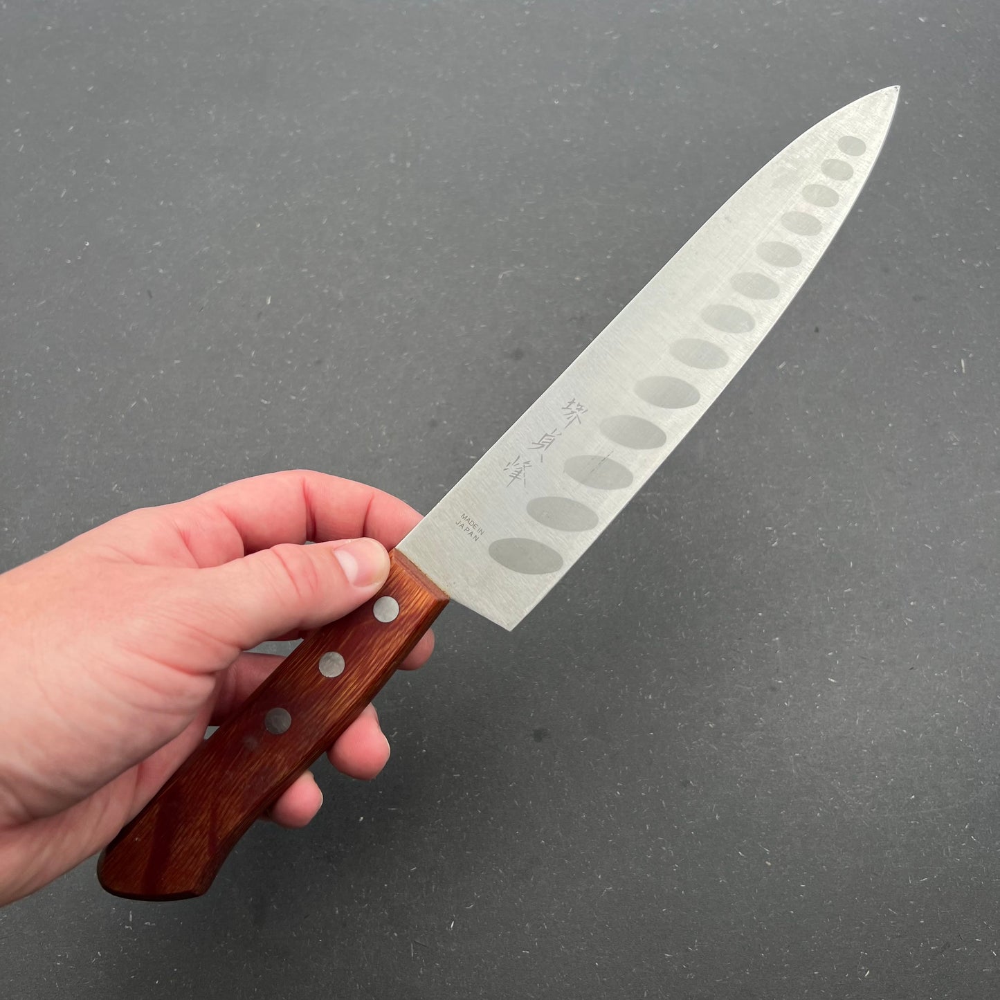 Gyuto 210mm rustfri