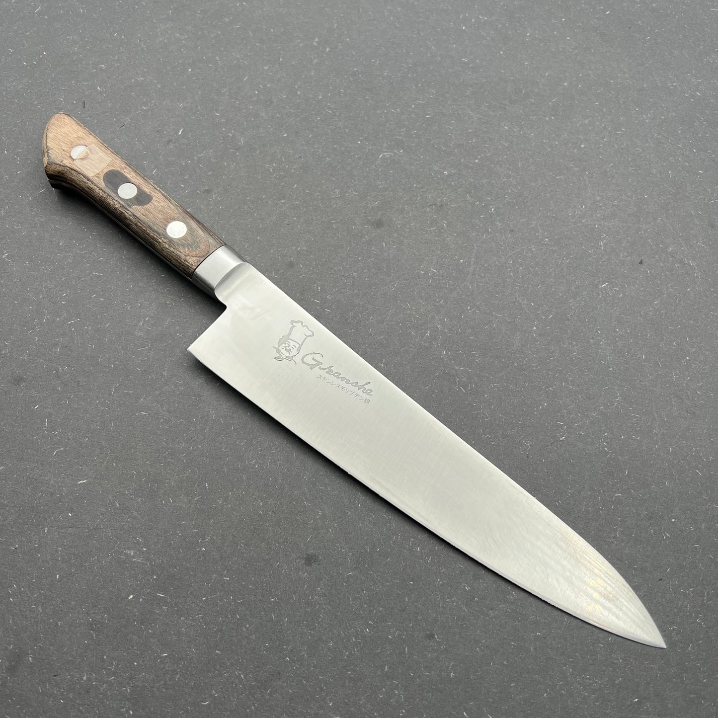 Gyuto 220mm rustfri