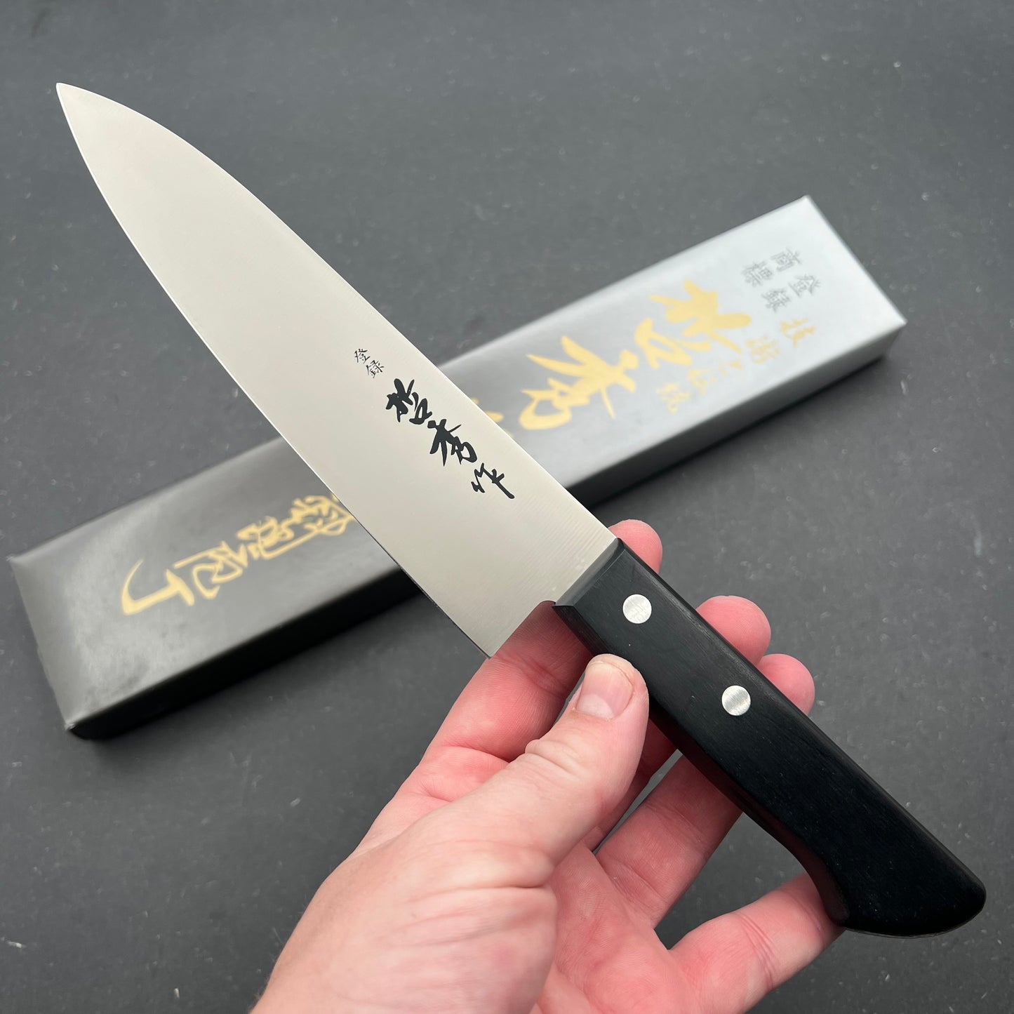 Tetsuhide Gyuto 180mm rustfri