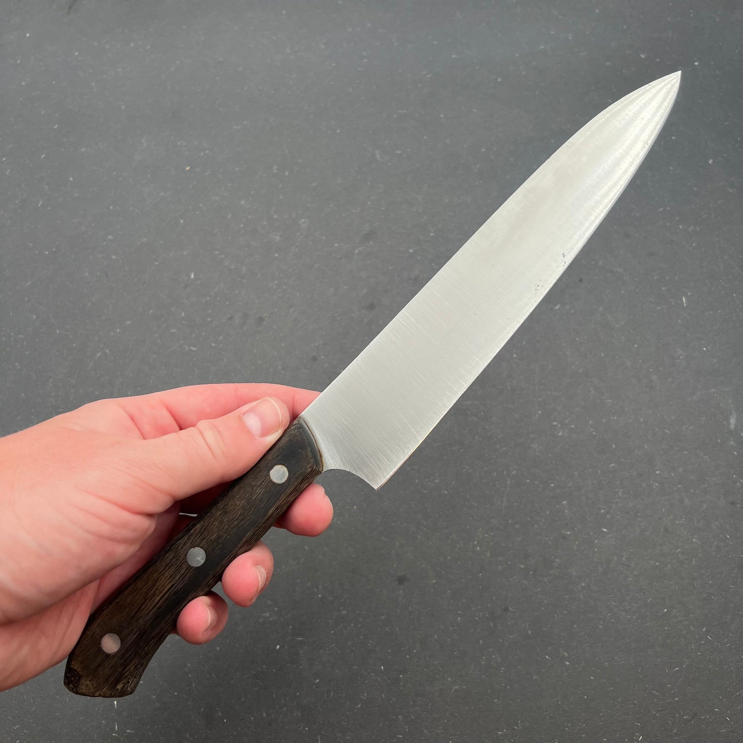 Kiya Gyuto 210mm rustfri