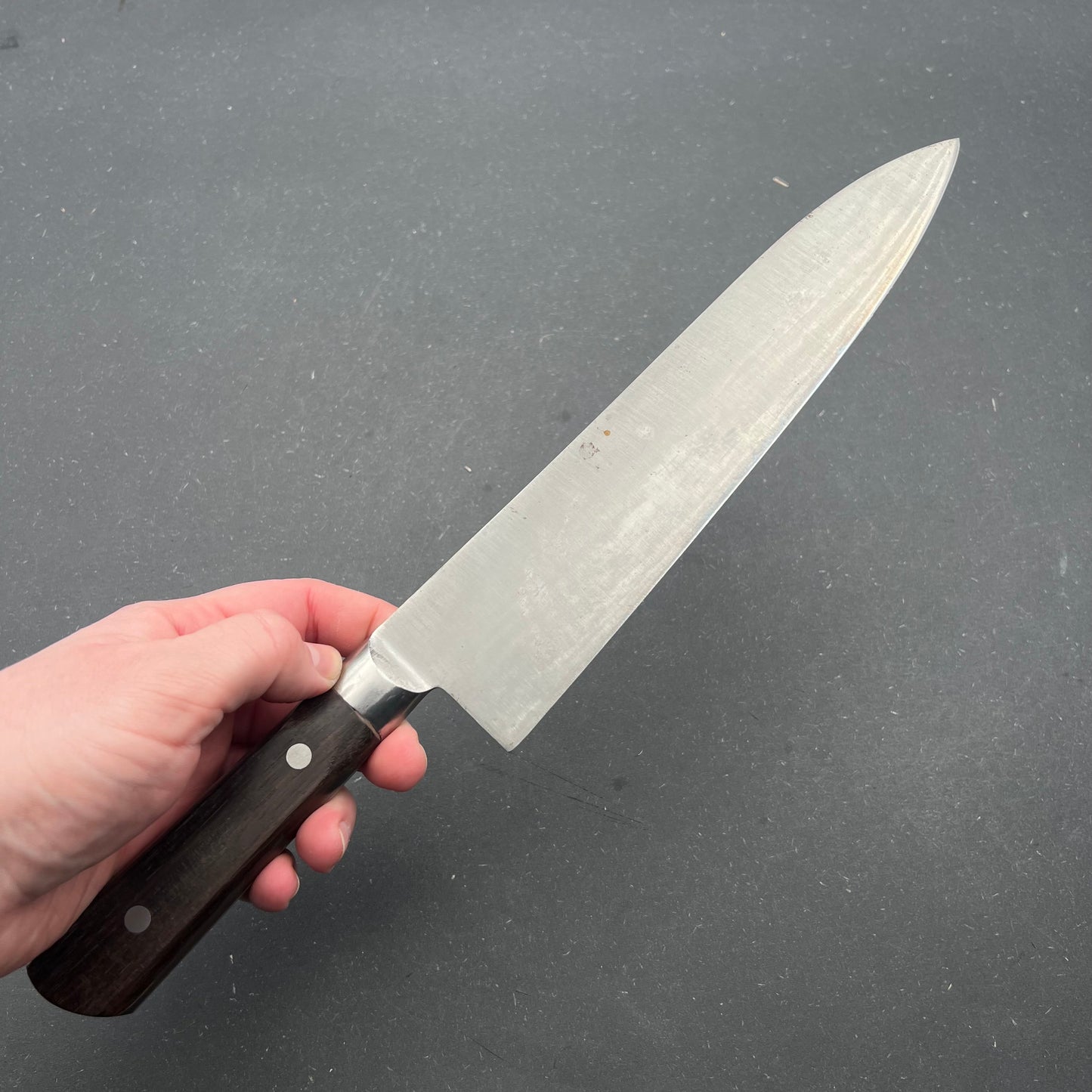 Gyuto (workhorse) 250mm Carbon