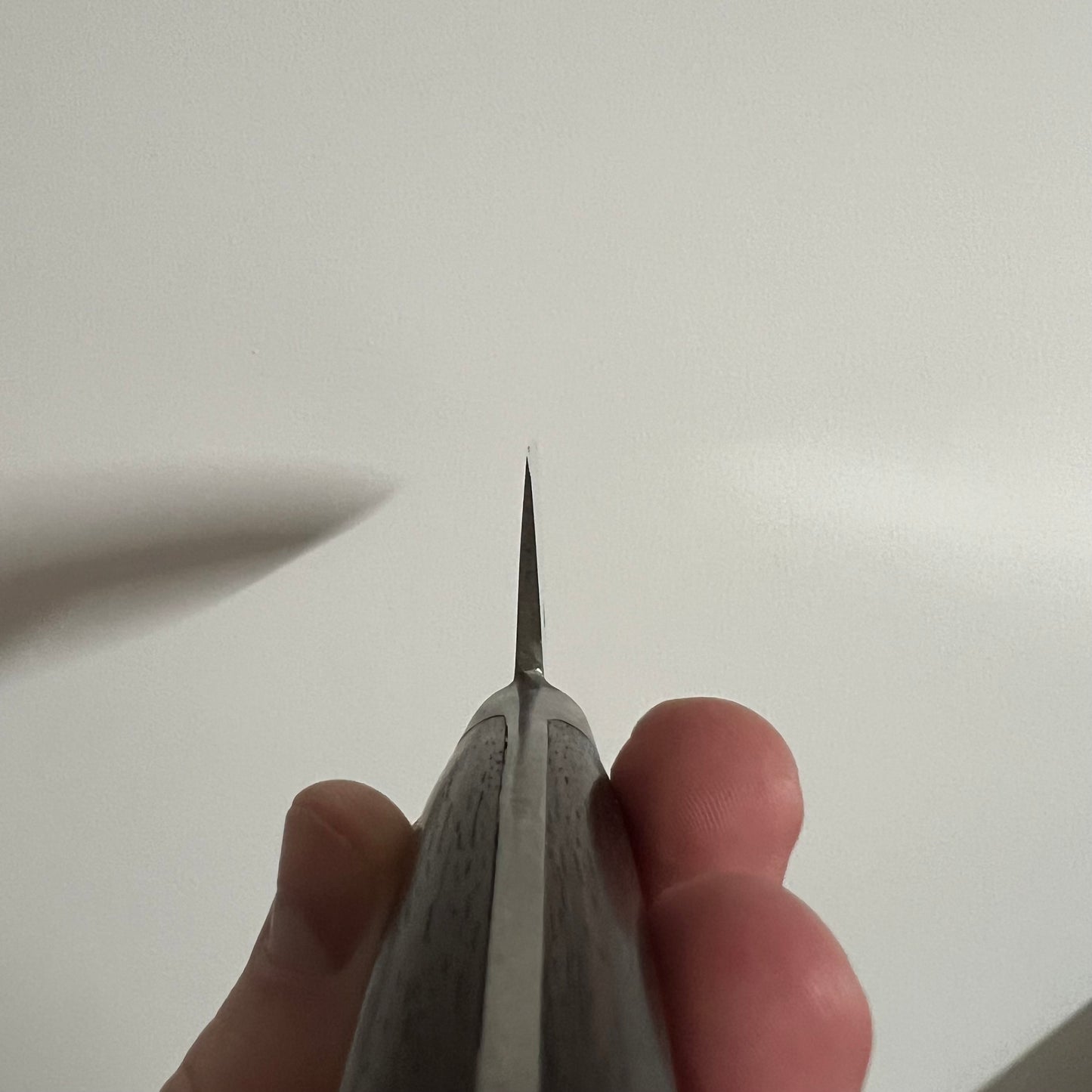 Minamoto no Kiyataki Gyuto 240mm Carbon (workhorse grind)