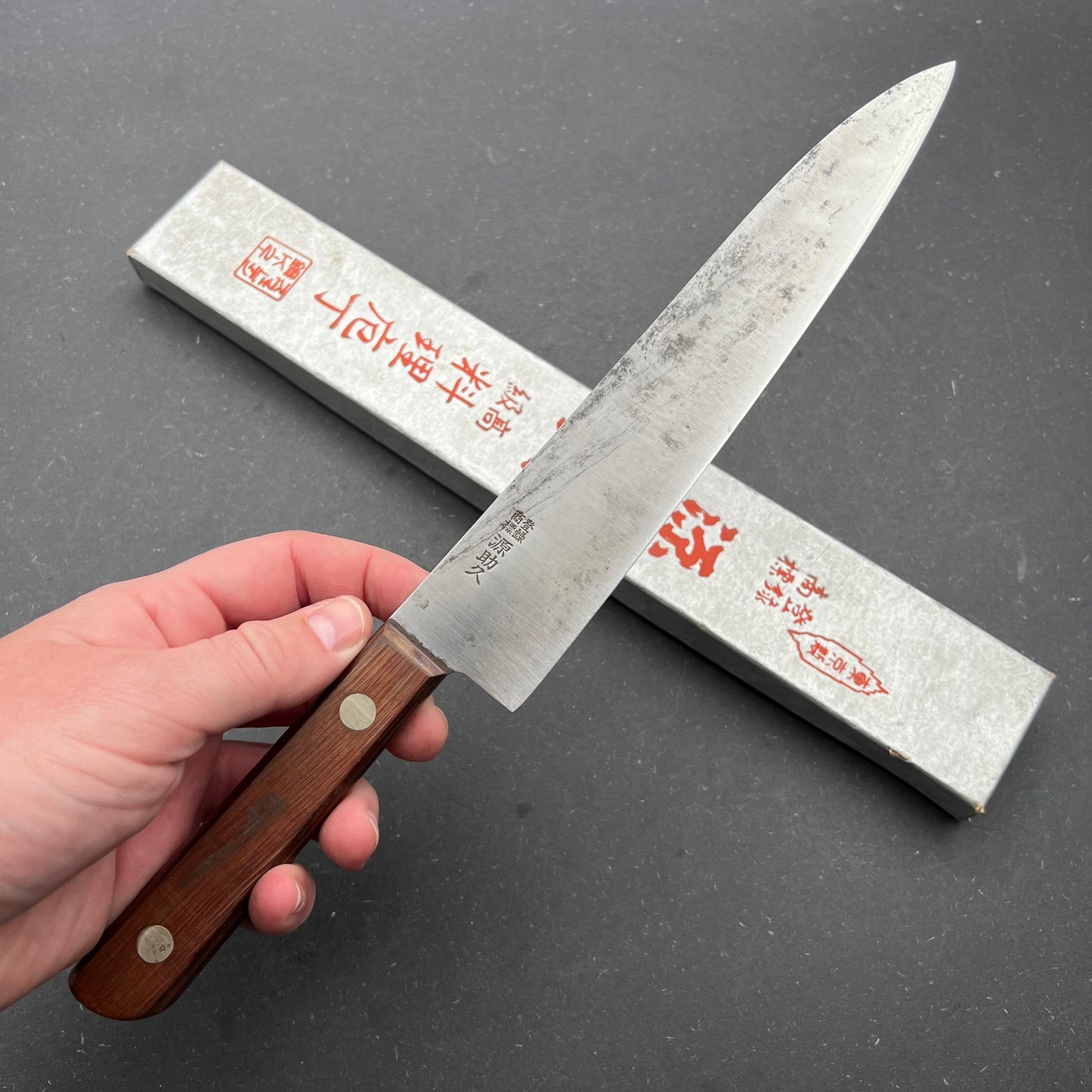 Minamoto Gyuto 210mm carbon